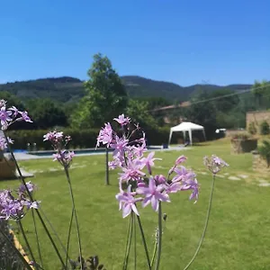 Bed and breakfast Alba Morus Sentiti A Casa Nel Cuo, Arezzo